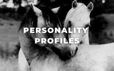 Personality Profiles