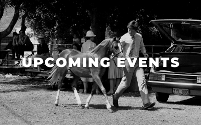 Upcoming Events