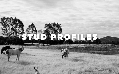 Stud Profiles